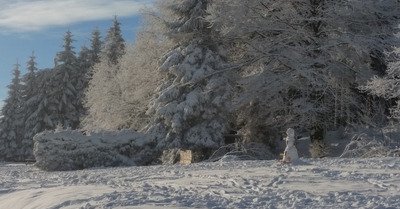 champ du feu dimanche 4 f&eacute;vrier 2018