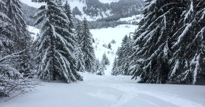 Praz de Lys-Sommand lundi 22 janvier 2018