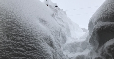 Avoriaz lundi 22 janvier 2018