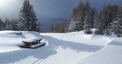 Peisey-Vallandry jeudi 18 janvier 2018
