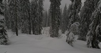 Avoriaz mercredi 17 janvier 2018