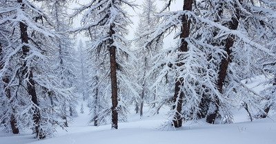 Cr&eacute;voux mercredi 10 janvier 2018