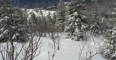 Lans en Vercors jeudi 28 d&eacute;cembre 2017