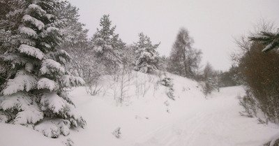 Prabour&eacute; samedi 16 d&eacute;cembre 2017