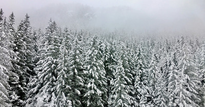 Chamonix mardi 12 décembre 2017