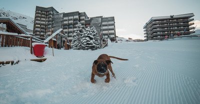 Les Menuires mardi 12 d&eacute;cembre 2017