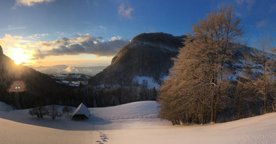 392457 samedi 9 décembre 2017