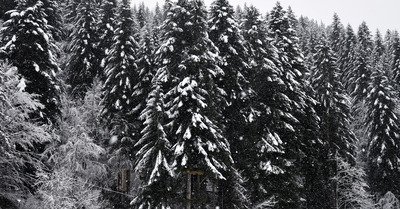 Le Grand-Bornand vendredi 8 d&eacute;cembre 2017