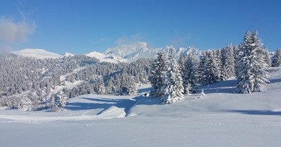 510 dimanche 3 d&eacute;cembre 2017