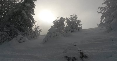 11953 samedi 2 d&eacute;cembre 2017