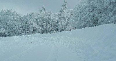 les trois fours vendredi 1 d&eacute;cembre 2017