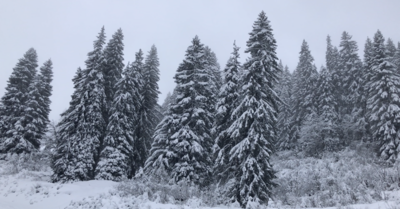 Avoriaz mercredi 29 novembre 2017