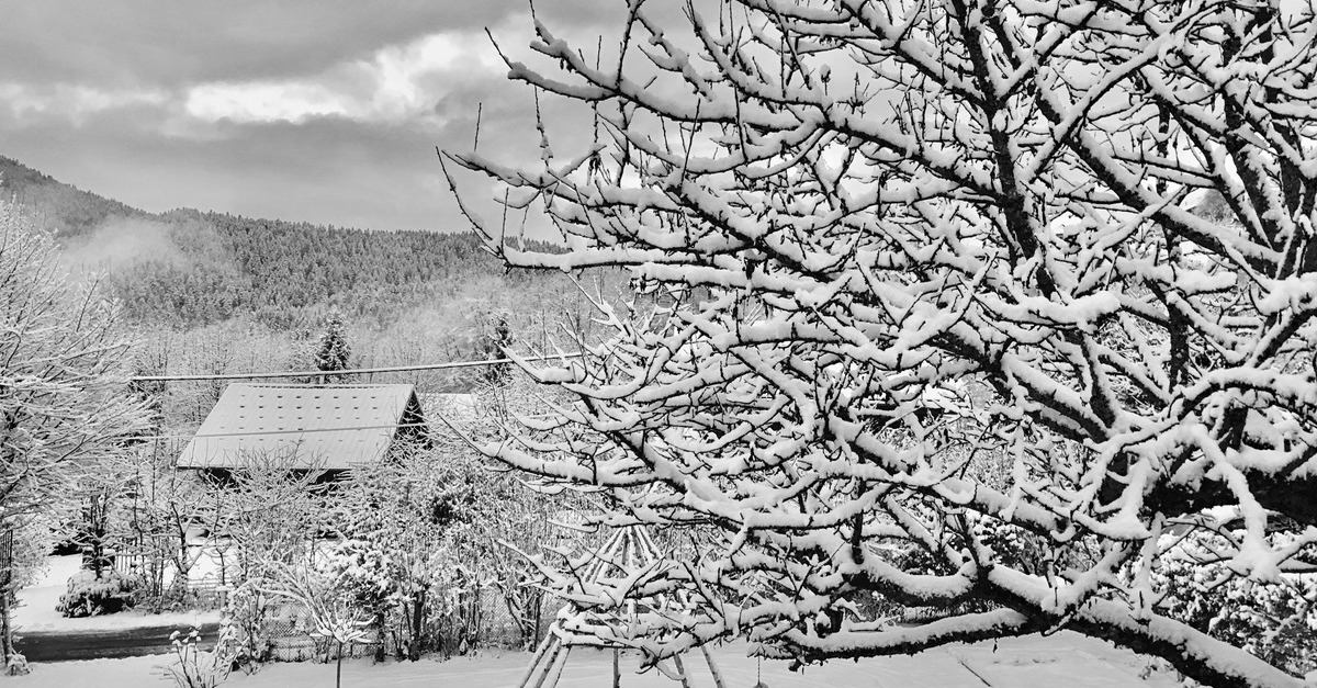 Le Sappey en Chartreuse mercredi 29 novembre 2017