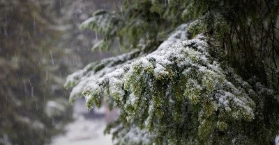 La Rosi&egrave;re samedi 25 novembre 2017