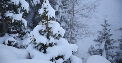 La Plagne mercredi 8 novembre 2017