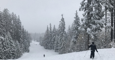 La Norma dimanche 2 avril 2017