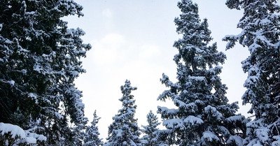 La Rosi&egrave;re dimanche 26 mars 2017