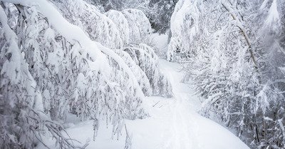 Les Arcs mardi 7 mars 2017
