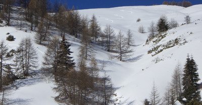 la foux d'allos dimanche 5 mars 2017