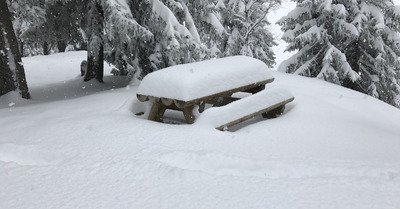 La Rosi&egrave;re mercredi 1 mars 2017