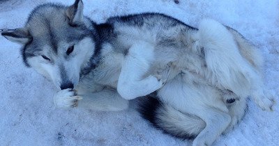 La Pierre Saint Martin dimanche 26 f&eacute;vrier 2017