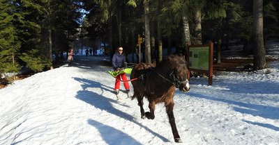 La Norma jeudi 16 f&eacute;vrier 2017