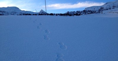 La Pierre Saint Martin mardi 14 f&eacute;vrier 2017