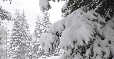 Avoriaz dimanche 5 f&eacute;vrier 2017