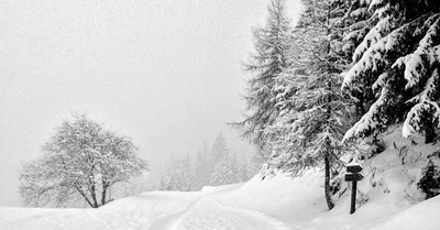 La Plagne samedi 4 février 2017