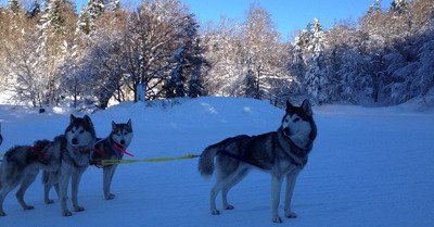 La Pierre Saint Martin mercredi 25 janvier 2017