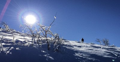 gaschney mardi 24 janvier 2017