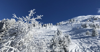 La Norma lundi 16 janvier 2017