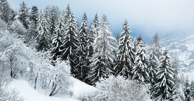 Les Arcs samedi 14 janvier 2017