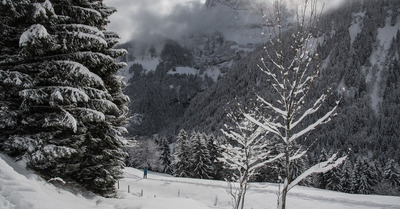 Champéry jeudi 12 janvier 2017