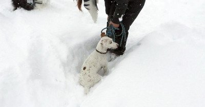 Tignes jeudi 10 novembre 2016