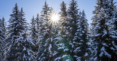 Les Arcs lundi 7 novembre 2016