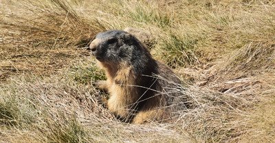 Orci&egrave;res Merlette jeudi 21 avril 2016