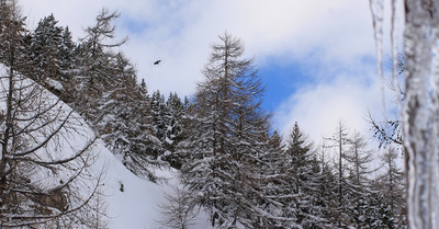 Val d'Isère mardi 1 mars 2016