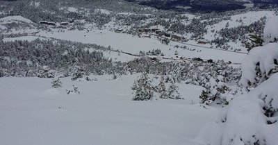 Gr&eacute;oli&egrave;res lundi 29 f&eacute;vrier 2016
