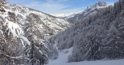 la foux d'allos lundi 8 f&eacute;vrier 2016