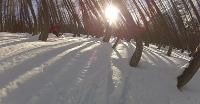 la foux d'allos jeudi 4 f&eacute;vrier 2016