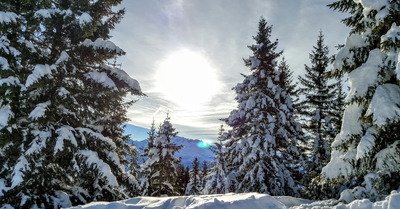 Les Saisies vendredi 22 janvier 2016