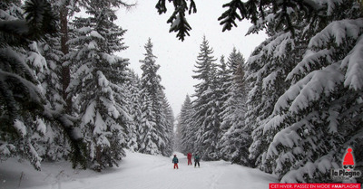 La Plagne jeudi 14 janvier 2016