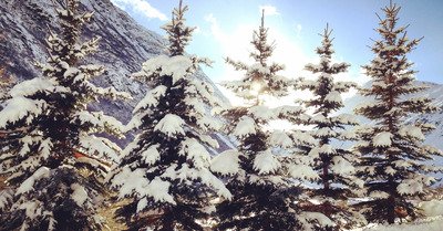 Bonneval mardi 5 janvier 2016