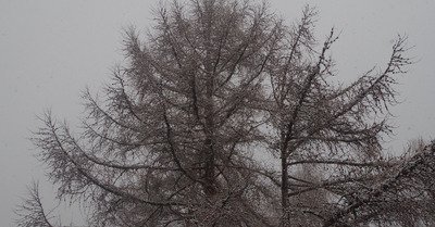 Saint-Luc / Chandolin samedi 2 janvier 2016