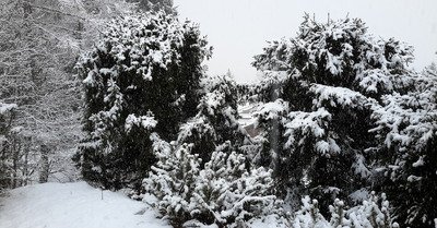 Verbier samedi 2 janvier 2016
