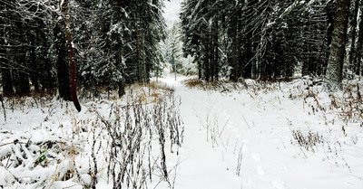 Col de Porte lundi 23 novembre 2015