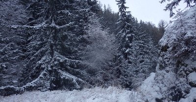 Sainte Foy samedi 21 novembre 2015
