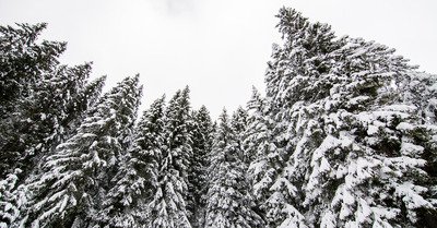 Avoriaz dimanche 5 avril 2015