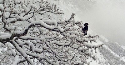 Bonneval dimanche 22 mars 2015